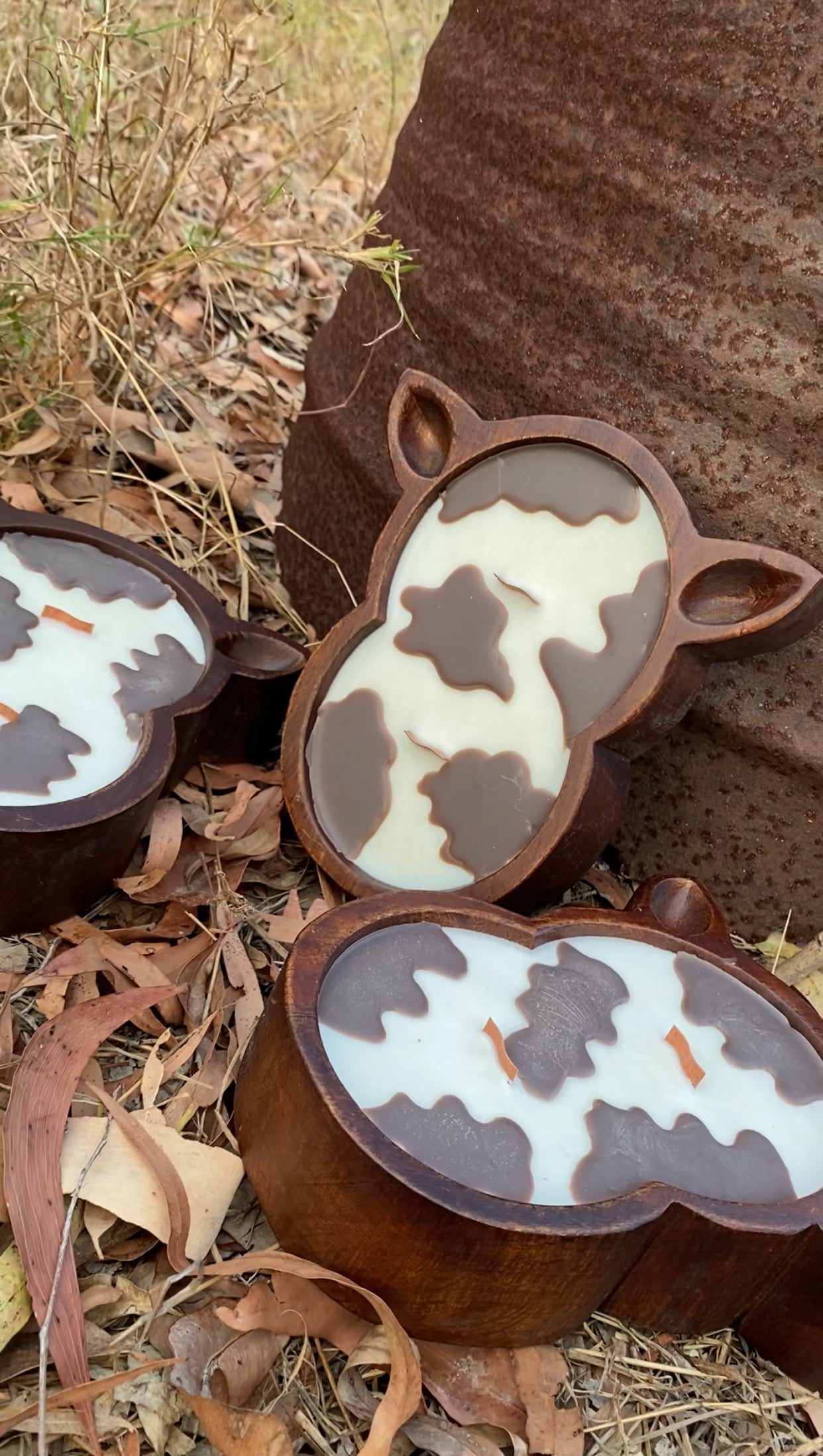 PRE ORDER- Western Mocha Cow Head Candle