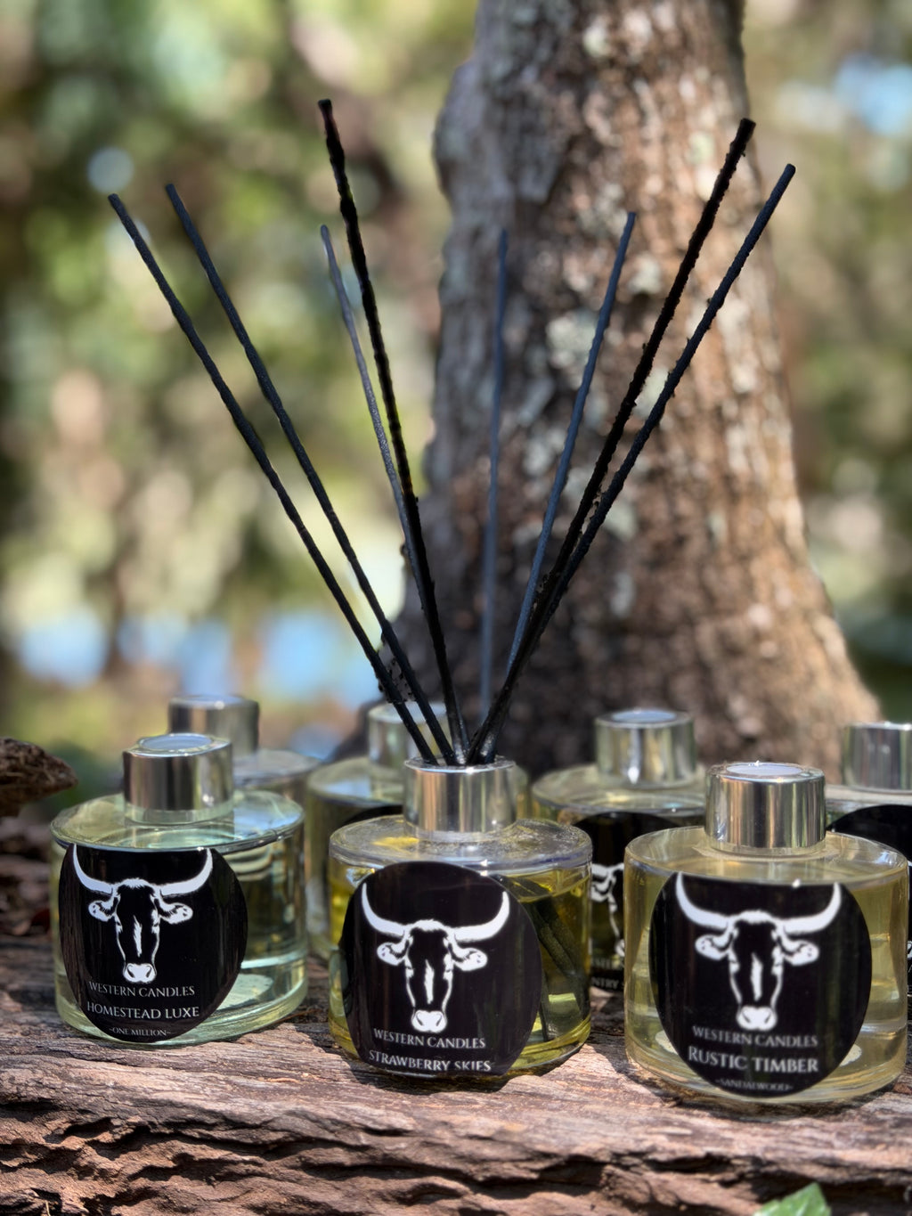 Western Reed Diffuser