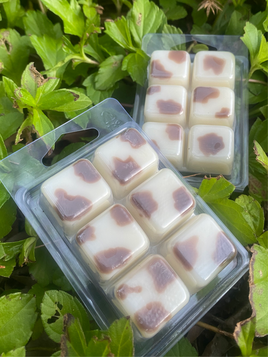 Western Clamshell Wax Melts