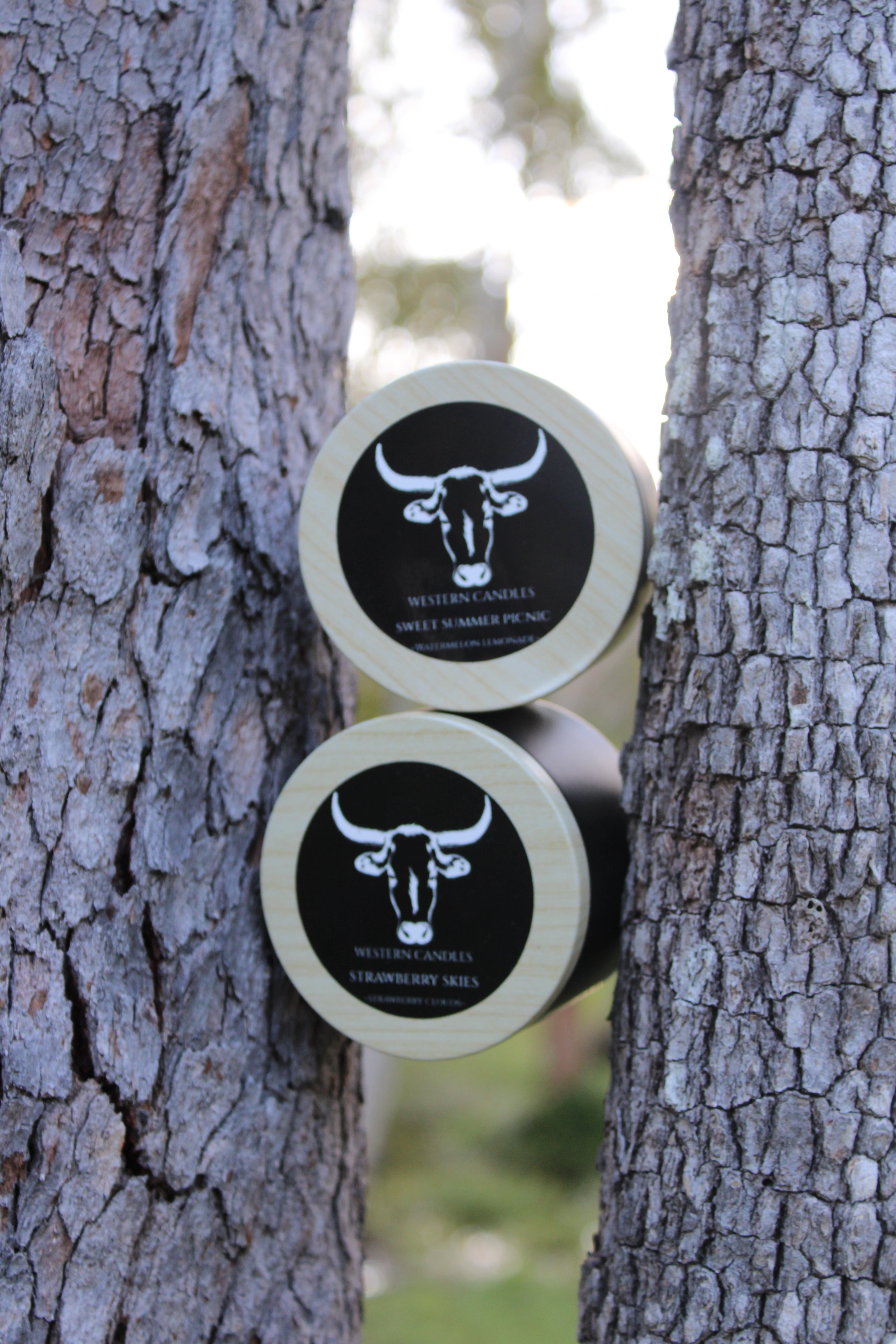 PRE ORDER- Western Black Tins